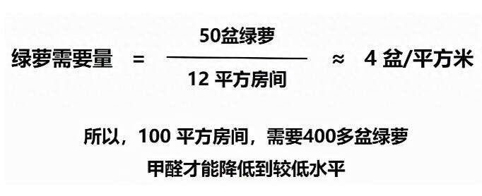 公司用綠蘿除甲醛，到底靠不靠譜？